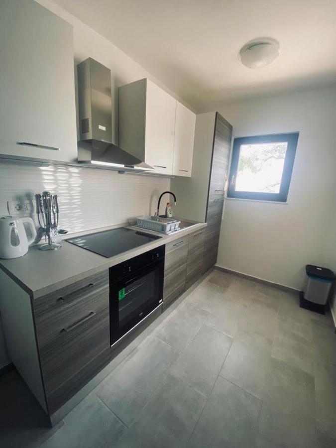 Apartmani Mila 斯塔利格拉德-帕克利尼卡 外观 照片