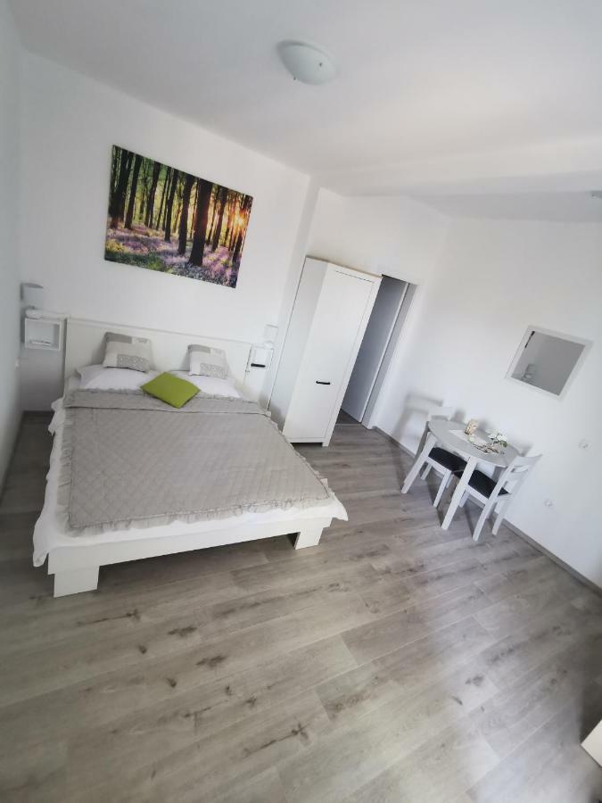 Apartmani Mila 斯塔利格拉德-帕克利尼卡 外观 照片