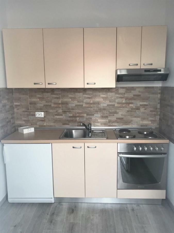 Apartmani Mila 斯塔利格拉德-帕克利尼卡 外观 照片