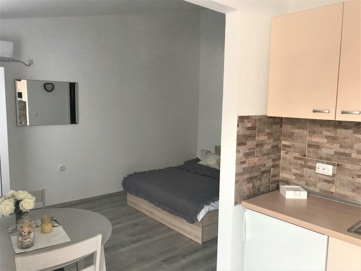 Apartmani Mila 斯塔利格拉德-帕克利尼卡 外观 照片