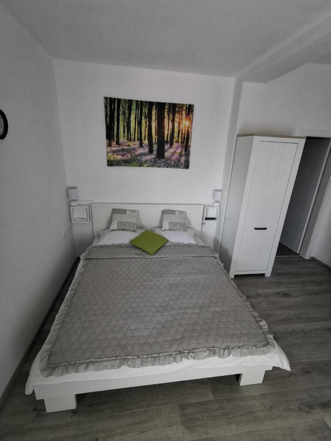 Apartmani Mila 斯塔利格拉德-帕克利尼卡 外观 照片